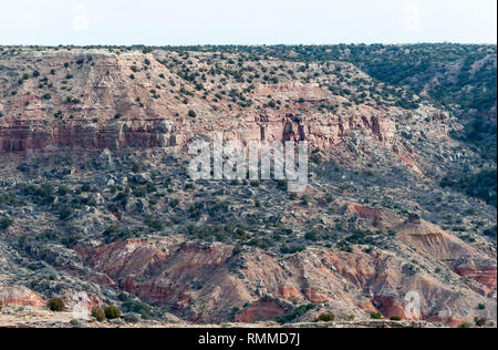 Paysage de Palo Duro Canyon au Texas. Banque D'Images