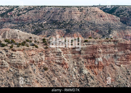 Paysage de Palo Duro Canyon au Texas. Banque D'Images