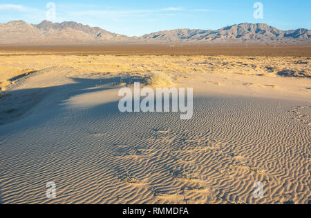 Dunes de sable dans le désert de Mojave en Californie. Banque D'Images