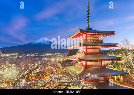 Fujiyoshida, Japon vue de Mt. Fuji et pagode dans la saison du printemps avec les cerisiers en fleurs au crépuscule. Banque D'Images
