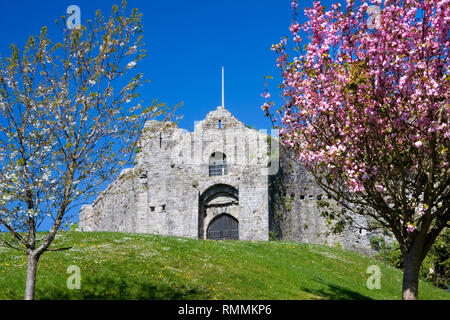 Château d'Oystermouth, Mumbles, Swansea, Gower, pays de Galles, Royaume-Uni Banque D'Images