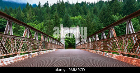 Low angle view of a rusty metal pont suspendu au-dessus de la rivière Fraser, entouré par la forêt, British Columbia, Canada Banque D'Images