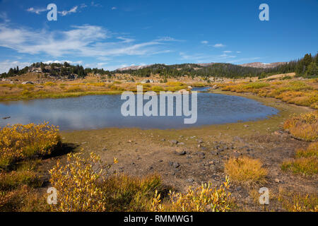 WY03738-00...WYOMING - Petit étang près de lacs de la chaîne le long de l'autoroute Beartooth dans la forêt nationale de Shoshone. Banque D'Images