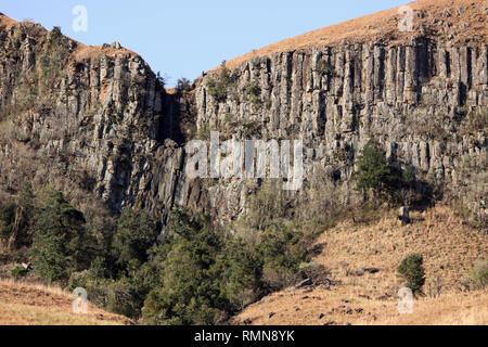 Les colonnes de basalte en montagne Drakensburg, Kwazulu Natal, Afrique du Sud Banque D'Images