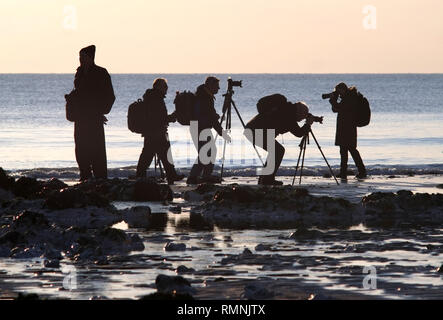 Groupe de photographes amateurs de photographier le coucher de soleil sur une plage. Banque D'Images