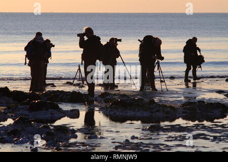 Groupe de photographes amateurs de photographier le coucher de soleil sur une plage. Banque D'Images