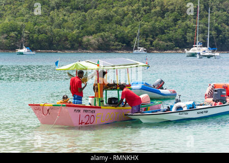 Panthère rose bar flottant, plage de Reduit, Rodney Bay, Gros Islet, Saint Lucia, Lesser Antilles, Caribbean Banque D'Images