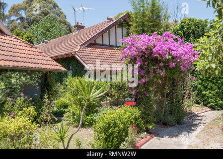 L'un des premiers chalets Bungalow Fédération construit dans le quartier de Daceyville, Sydney, Australie Banque D'Images