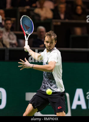 Rotterdam, Pays-Bas, le 14 février 2019, Tournoi de tennis du monde ABNAMRO, Ahoy, Daniil Medvedev (RUS), Photo : www.tennisimages.com/Henk Koster Crédit : Henk Koster/Alamy Live News Banque D'Images