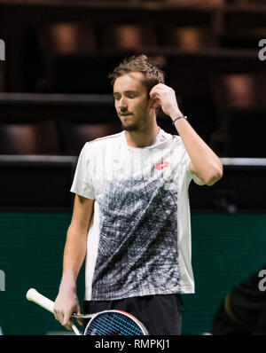 Rotterdam, Pays-Bas, le 14 février 2019, Tournoi de tennis du monde ABNAMRO, Ahoy, Daniil Medvedev (RUS), Photo : www.tennisimages.com/Henk Koster Crédit : Henk Koster/Alamy Live News Banque D'Images