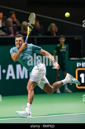 Rotterdam, Pays-Bas, le 14 février 2019, Tournoi de tennis du monde ABNAMRO, Ahoy, Jo-Wilfried Tsonga (FRA), Photo : www.tennisimages.com/Henk Koster Crédit : Henk Koster/Alamy Live News Banque D'Images