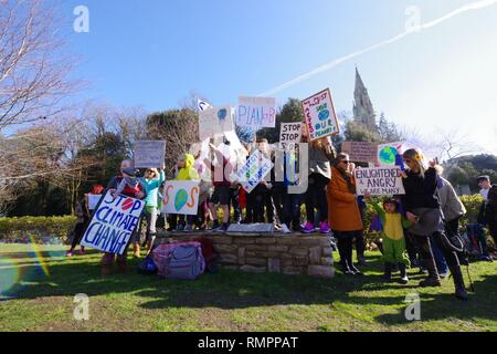 Bournemouth, Royaume-Uni. Feb 15, 2019. Une première à l'échelle du Royaume-Uni, l'Europe et au-delà de la grève des jeunes pour le climat était avait le 15 février 2019. Les jeunes à Bournemouth s'est joint à l'action à l'échelle de l'Europe sur le climat. Rassemblement à l'Hôtel de ville de Bournemouth, une pétition a été remise à plus tard, Tobias Ellwood MP pour Bournemouth bureau à Boscombe par Izzy et élèves de St James School Crédit : Haydn Wheeler/Alamy Live News Banque D'Images