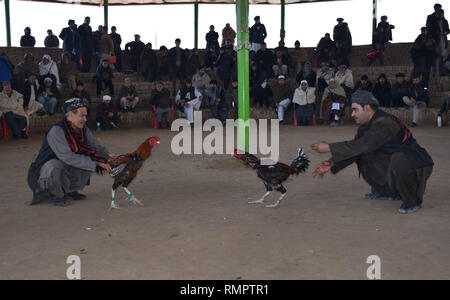 L'Afghanistan, l'Afghanistan. Feb 15, 2019. Les hommes afghans watch de coqs à Mazar-i-Sharif, capitale de la province de Balkh, dans le nord de l'Afghanistan, le 15 février 2019. En tant que culture de coqs est passe-temps populaire en Afghanistan. Credit : Kawa Basharat/Xinhua/Alamy Live News Banque D'Images