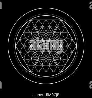 Fleur de vie image vectorielle, la géométrie sacrée symbole sur fond noir Illustration de Vecteur