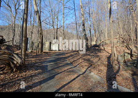 Chemin à travers une forêt dans le nord de l'État de New York Banque D'Images