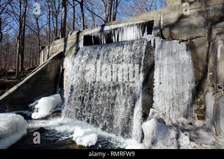 Weir en béton avec chute d'eau dans la forêt Banque D'Images