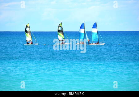 Catamarans de plongée sur la mer ouverte dans les Caraïbes Banque D'Images