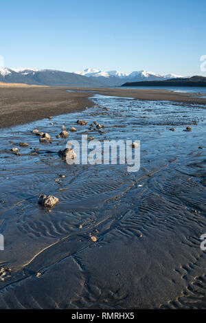 Les patrons de l'eau sur la plage de West Glacier dans le Sud-Est de l'Alaska sur une belle journée ensoleillée. Banque D'Images