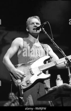 Sting est montré sur scène pendant un concert 'live' avec son groupe solo. Banque D'Images