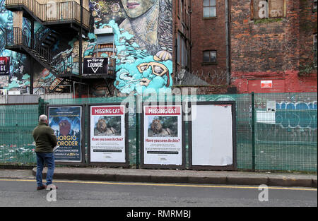 Chat manquant affiches dans Manchester Banque D'Images