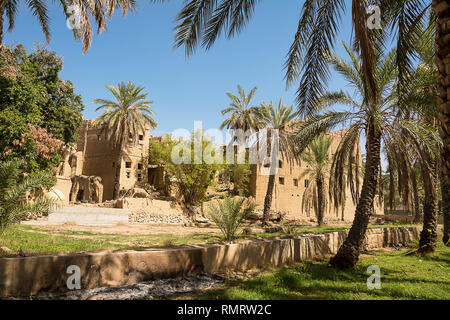 Vieux maisons de boue et de palmier dans le vieux village de Al Hamra (Oman) Banque D'Images