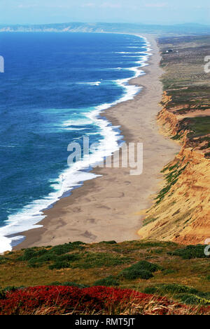 Le littoral de Point Reyes, Californie est bien connu comme l'un des plus beaux du monde. Cette image explique pourquoi. Banque D'Images