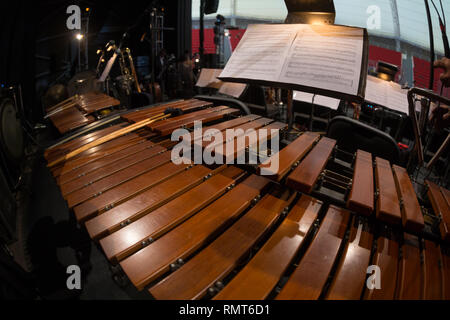 Marimba mexicana en concert hall Banque D'Images