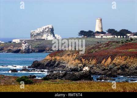 Le superbe littoral accidenté et colorés de Californie, avec le phare de Piedras Blancas près de Cambria. Banque D'Images