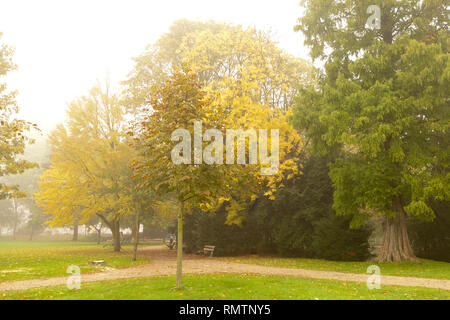 Tôt le matin, ciel voilé brume dans un parc de quartier dans les Pays-Bas avec les arbres de différentes couleurs d'automne Banque D'Images