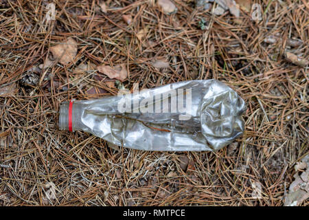 Les déchets se trouvant dans la forêt. Forêt hantée et la nature. Saison hiver, début du printemps. Banque D'Images