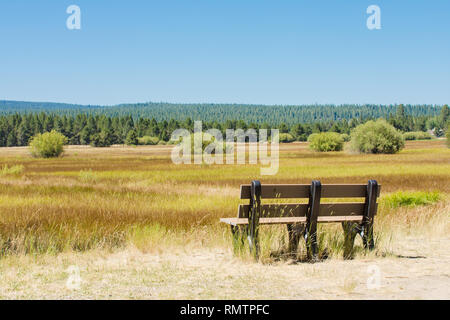 Mountain meadow avec banquette vide, les montagnes bleues, l'herbe d'or Banque D'Images