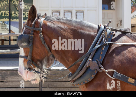 Close up horse en vieux cowboy du Wild West Town avec calèche et tricorps en arrière-plan - Image Banque D'Images