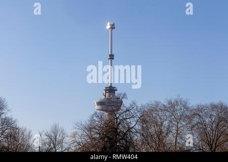 Vue sur le parc à Rotterdam sur une journée ensoleillée à l'automne, avec un étang, des arbres, lawmns et dans l'arrière-plan l'icône de la ville l'Euromast - Image Banque D'Images