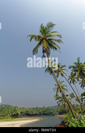 Khavane beach, sindhudurg, Maharashtra, Inde, Asie Banque D'Images