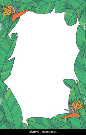 Plante botanique avec châssis vecteur exotique vert oiseau du paradis Strelitzia flower feuilles sur fond transparent Illustration de Vecteur