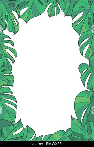 Plante botanique avec châssis vecteur exotique vert Monstera deliciosa Windowleaf Swiss Cheese Plant feuilles sur fond transparent Illustration de Vecteur