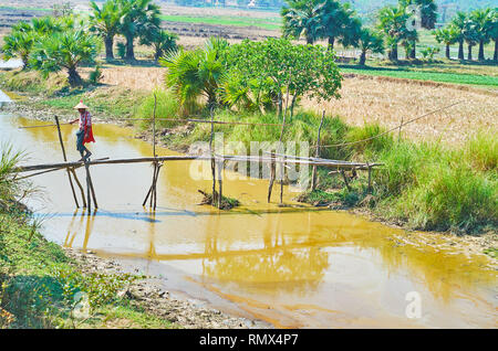 TAWA, MYANMAR - février 15, 2018 : le paysan promenades le long de la passerelle de bambou primitive de l'autre côté du canal de Bago, s'écoulant entre les terres agricoles Banque D'Images