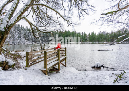 Petit lac avec un homme debout sur la jetée et sentier en forêt d'hiver avec des troncs et branches - est un endroit idéal pour les amateurs d'un acte Banque D'Images