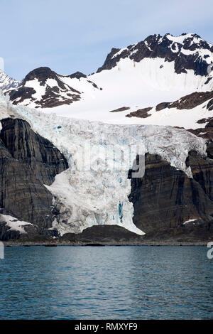 Gold Harbour South Georgia Island, vue du glacier de l'eau avec colonie de pingouins à la base. Banque D'Images