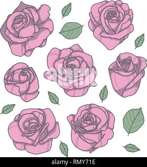 Collection vecteur ensemble de dessins avec des feuilles roses roses Illustration de Vecteur