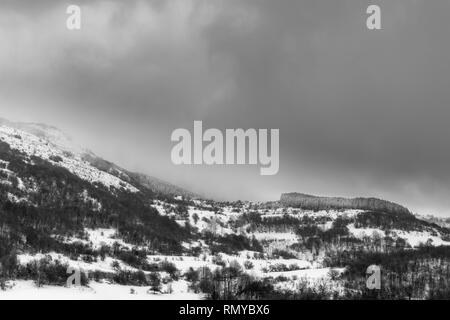 Misty, Moody, contrastée, noir et blanc vue d'une forêt de montagne pendant la saison d'hiver Banque D'Images