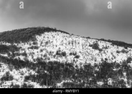 Misty, Moody, contrastée, noir et blanc vue d'une forêt de montagne pendant la saison d'hiver Banque D'Images