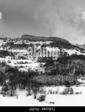 Misty, Moody, contrastée, noir et blanc vue d'une forêt de montagne pendant la saison d'hiver Banque D'Images