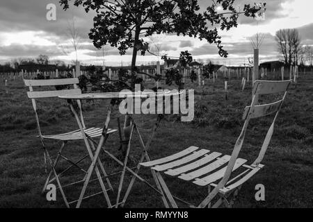 Deux chaises de jardin et table de rouille dans jardin, tourné en noir et blanc Banque D'Images