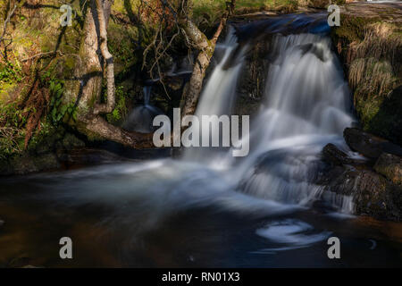 Glyn-y-établissement Blaen cascades dans les Brecon Beacons, le Pays de Galles Banque D'Images