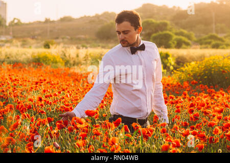 Homme de champ de coquelicots sur le crépuscule, campagne Malte Banque D'Images