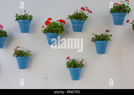 Photo d'un pot à fleurs suspendues à un mur à Marbella, Andalousie, Espagne Banque D'Images