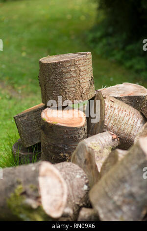 Pile de grumes en cerisier dans un jardin Banque D'Images