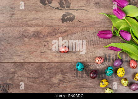 Pâques oeufs de caille - couleur pastel. De belles fleurs de printemps - tulipes violet sur un fond de bois. Floral frame avec de superbes fleurs. Copy space Banque D'Images