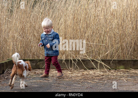 Un jeune homme blond enfant heureux de jouer avec son animal Cavalier King Charles Spaniel ami à l'extérieur parmi les herbes hautes Banque D'Images